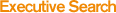 Executive Search
